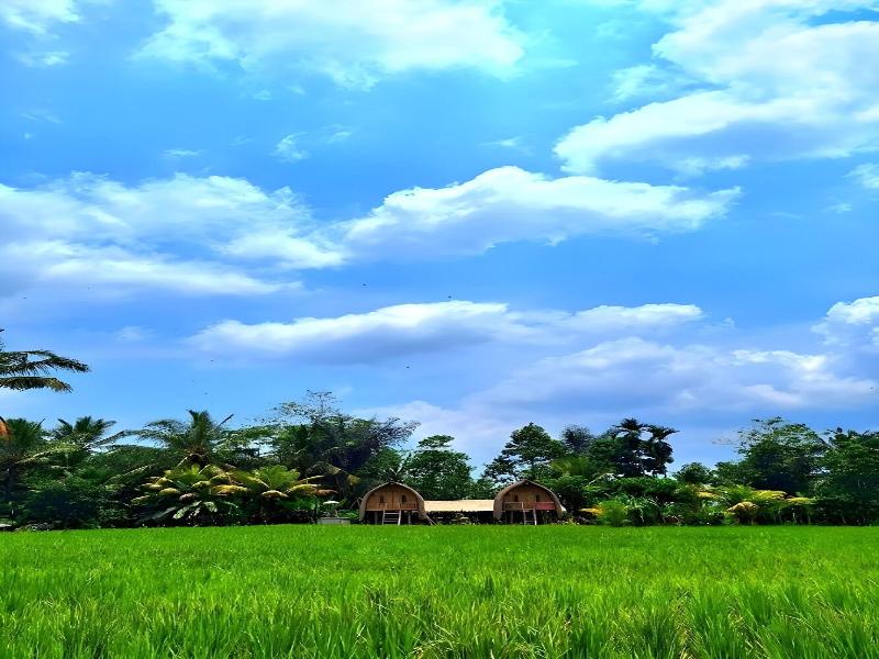 Tiny ECO Bamboo Ubud By Zuzu - Genel
