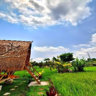 Tiny ECO Bamboo Ubud By Zuzu fotoÄŸrafÄ±