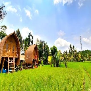 Tiny ECO Bamboo Ubud By Zuzu fotoÄŸrafÄ±