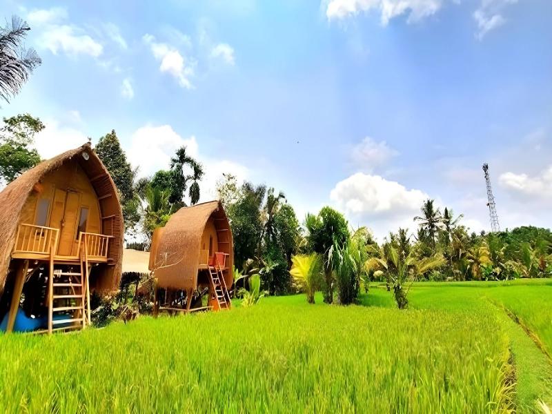 Tiny ECO Bamboo Ubud By Zuzu - Genel