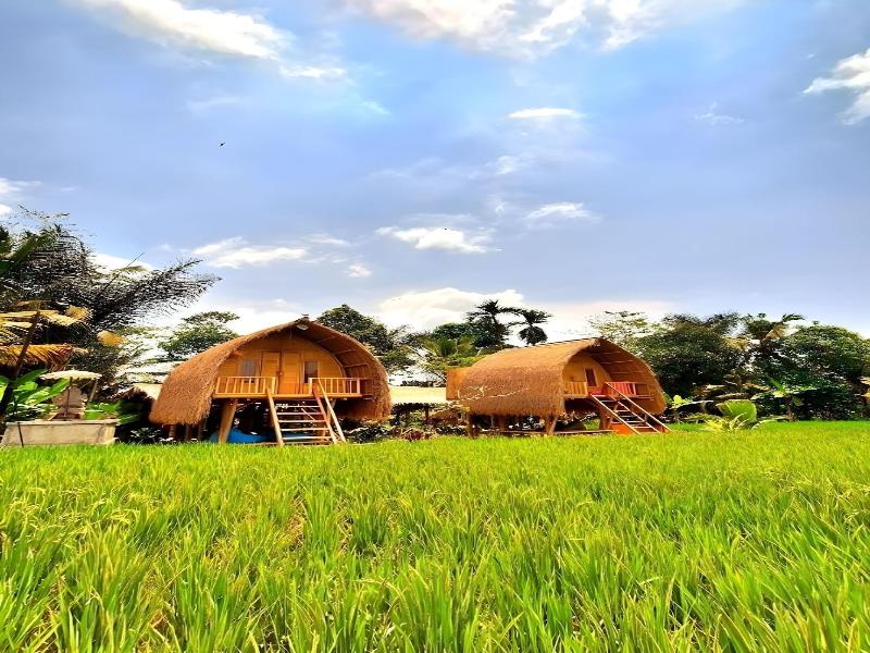 Tiny ECO Bamboo Ubud By Zuzu - Genel