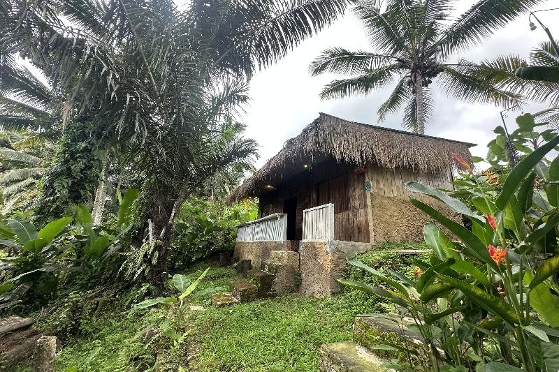 Tiny ECO Bamboo Ubud By Zuzu - Genel
