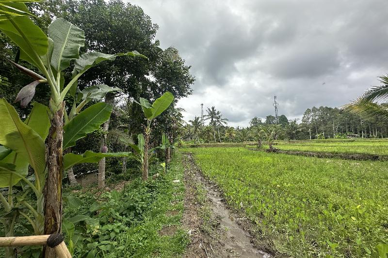 Tiny ECO Bamboo Ubud By Zuzu - Genel