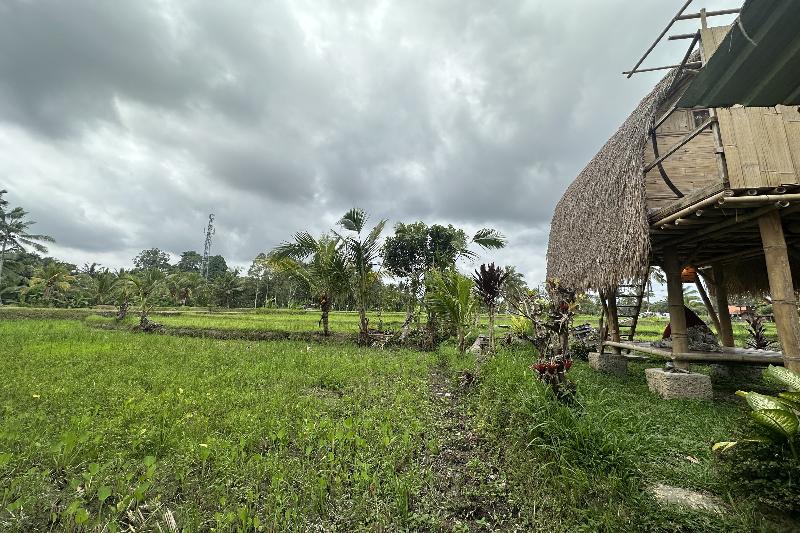 Tiny ECO Bamboo Ubud By Zuzu - Genel
