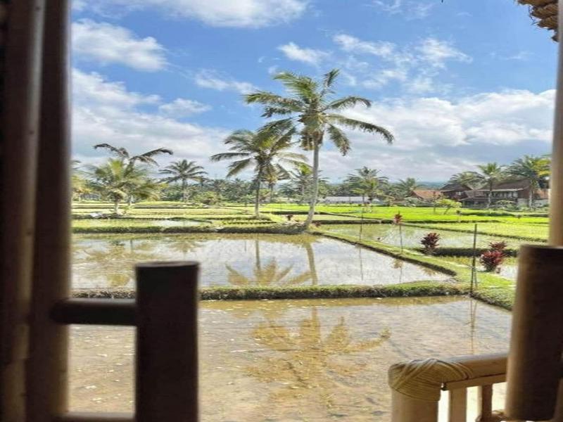 Tiny ECO Bamboo Ubud By Zuzu - Oda