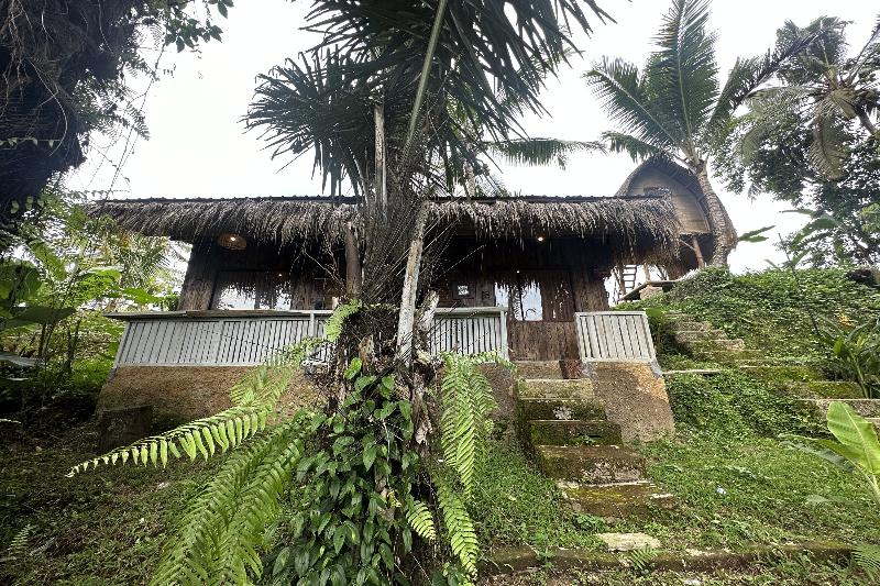 Tiny ECO Bamboo Ubud By Zuzu - Oda