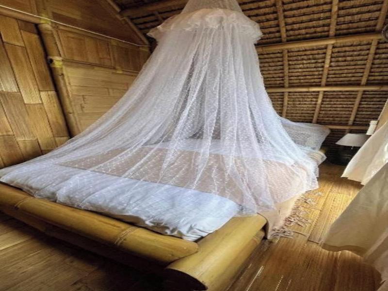Tiny ECO Bamboo Ubud By Zuzu - Oda