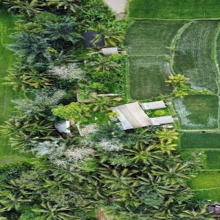 Tiny ECO Bamboo Ubud By Zuzu fotoÄŸrafÄ±