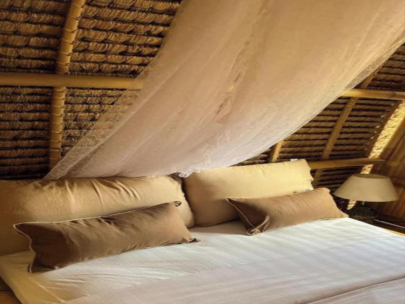 Tiny ECO Bamboo Ubud By Zuzu - Oda