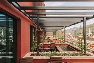 Torel Quinta Da Vacaria - Douro Valley fotoÄŸrafÄ±