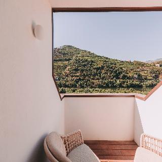 Torel Quinta Da Vacaria - Douro Valley fotoÄŸrafÄ±