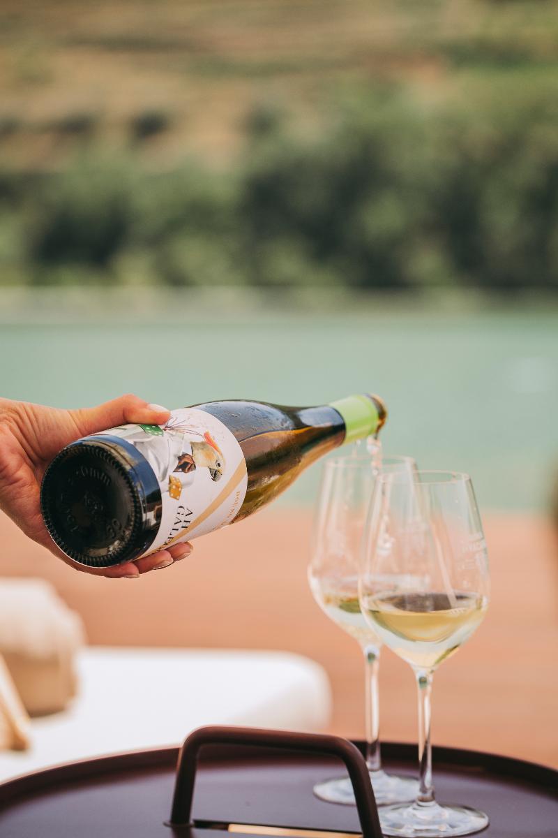 Torel Quinta Da Vacaria - Douro Valley - Havuz