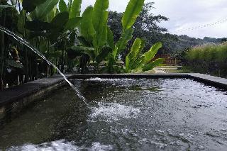 Onion Garden And Natural Hotspring By Zuzu fotoÄŸrafÄ±