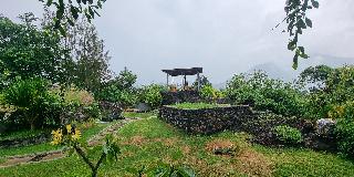 Onion Garden And Natural Hotspring By Zuzu fotoÄŸrafÄ±