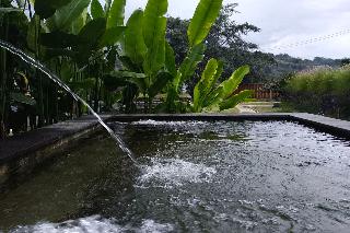 Onion Garden And Natural Hotspring By Zuzu fotoÄŸrafÄ±