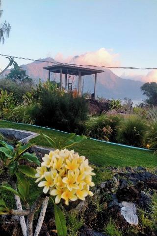 Onion Garden And Natural Hotspring By Zuzu fotoÄŸrafÄ±