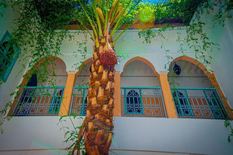 Riad Dar Mamouni - Genel