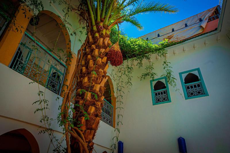 Riad Dar Mamouni - Genel