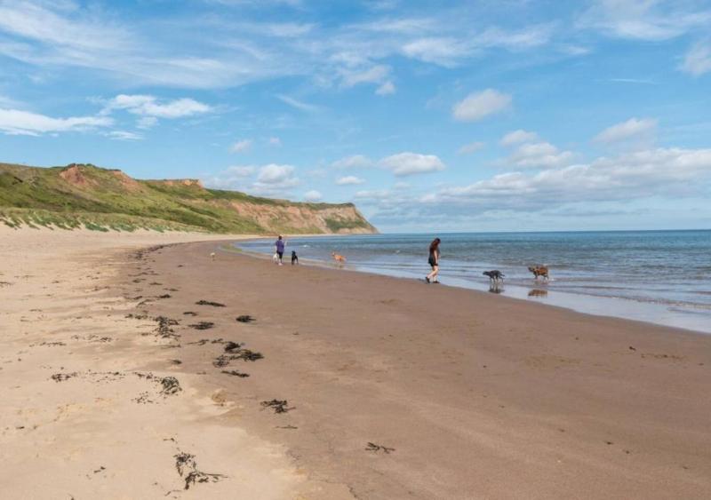 Apartments in Skinningrove - Oda
