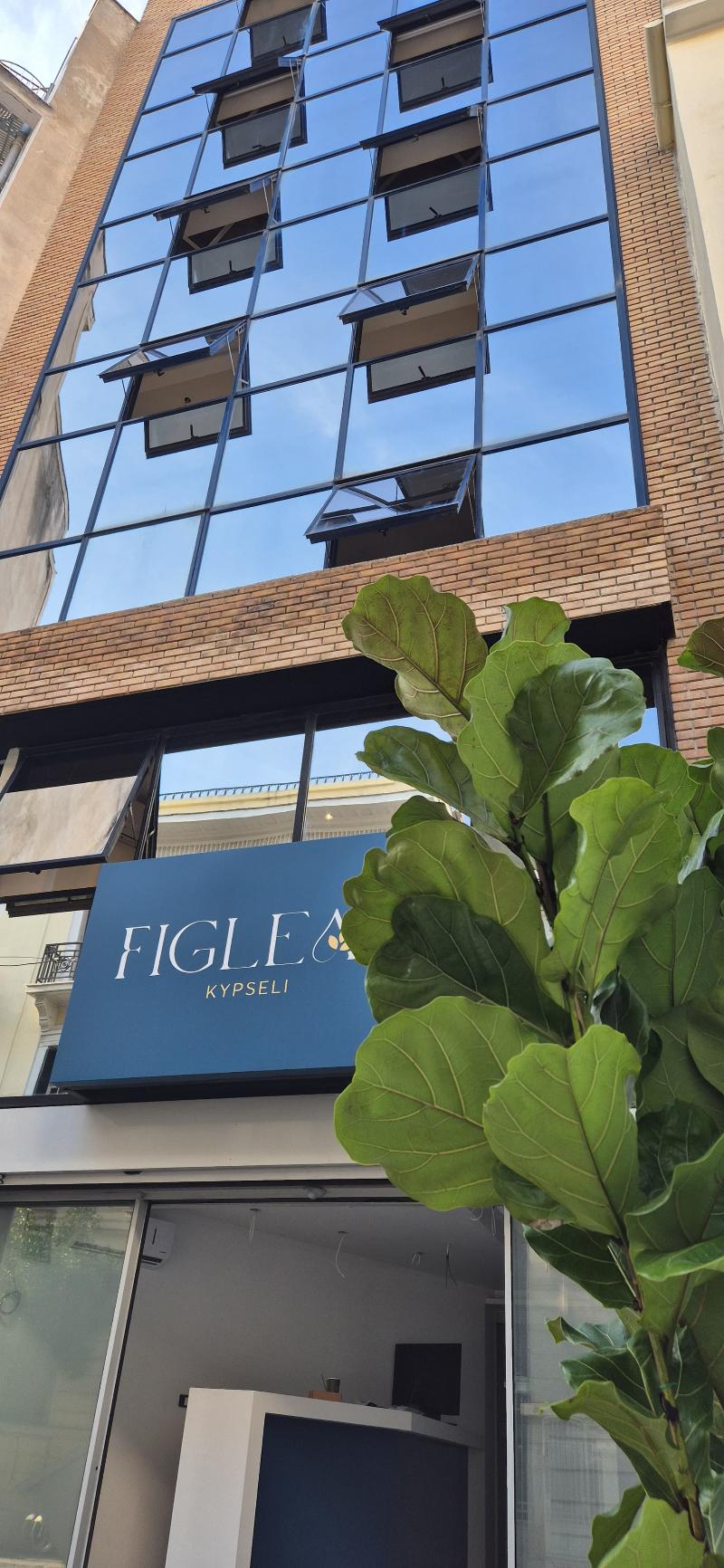 Figleaf Kypseli - Genel