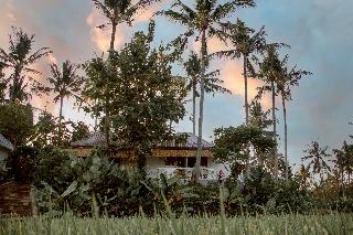 Hot Stone Club Ubud otel fotoğrafı