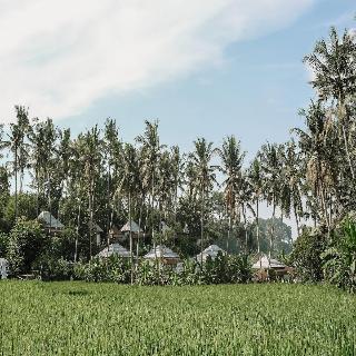 Hot Stone Club Ubud fotoÄŸrafÄ±