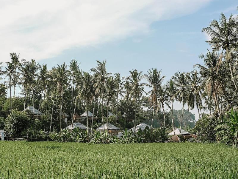 Hot Stone Club Ubud - Genel