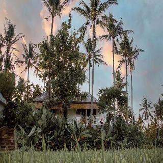 Hot Stone Club Ubud fotoÄŸrafÄ±