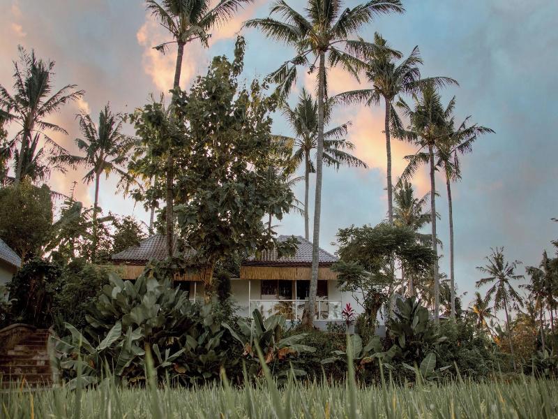 Hot Stone Club Ubud - Oda