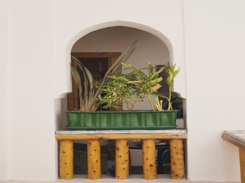 Riad Mama Square - Lobi