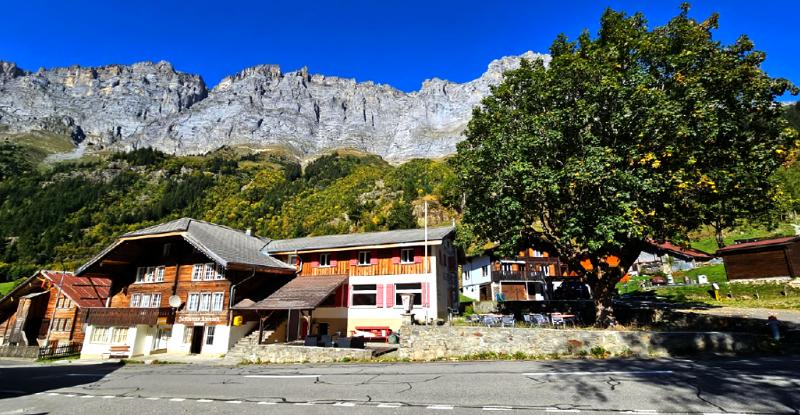 Gadmen Alpenrose, Switzerland - Genel