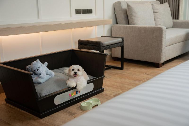 Hyatt Regency Hua Hin - Oda