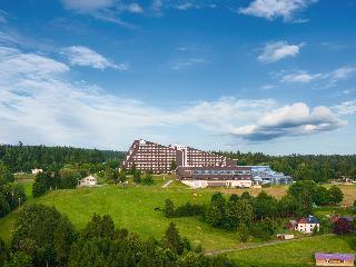 IFA Schöneck Hotel & Ferienpark otel fotoğrafı