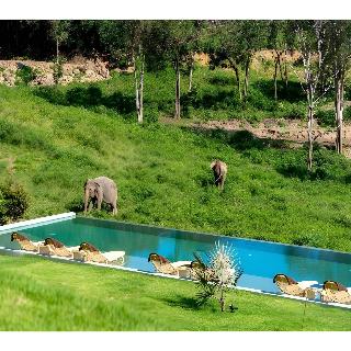 Wild Cottages Elephant Sanctuary Resort otel fotoğrafı