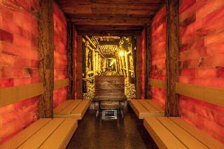 IFA Alpenhof Wildental Hotel fotoÄŸrafÄ±