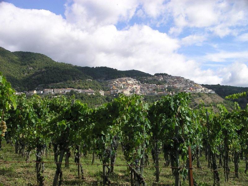 Hotel Sette E Mezzo - Genel