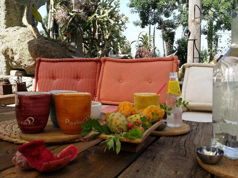 Ravino Ecolodge - Bar