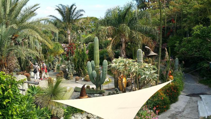 Ravino Ecolodge - Genel