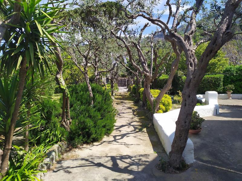 Ravino Ecolodge - Oda