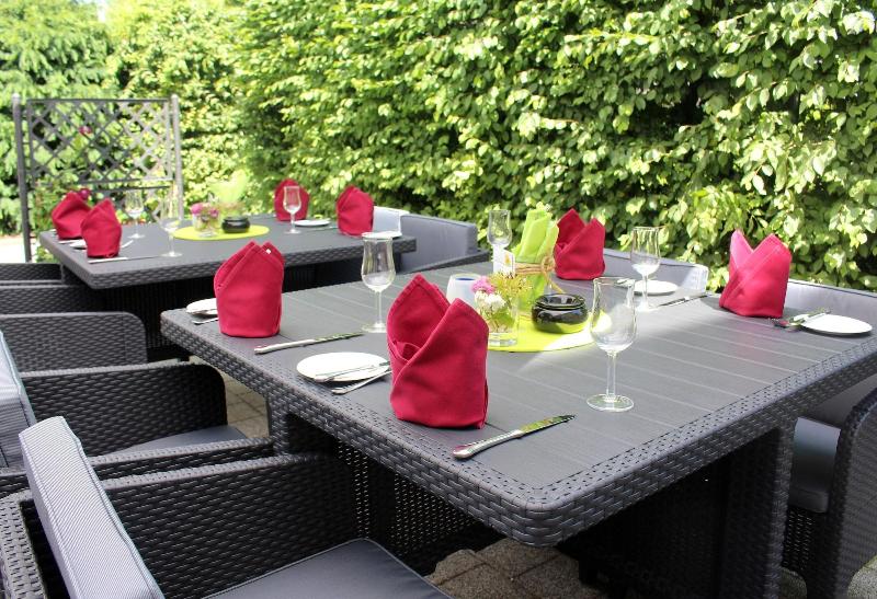 Hotel Am Ma Hlenteich - Teras