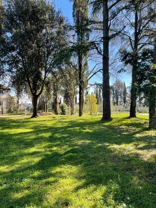 Poggio Delle Molare otel fotoğrafı