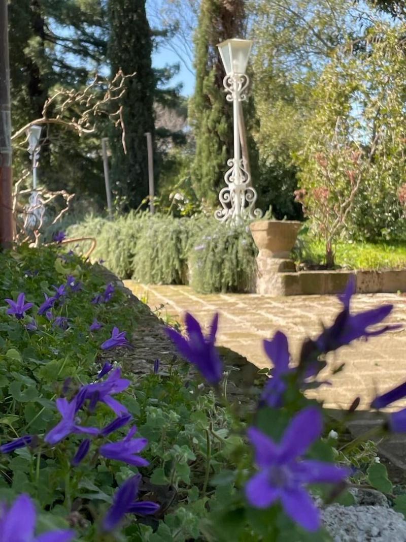 Poggio Delle Molare - Genel