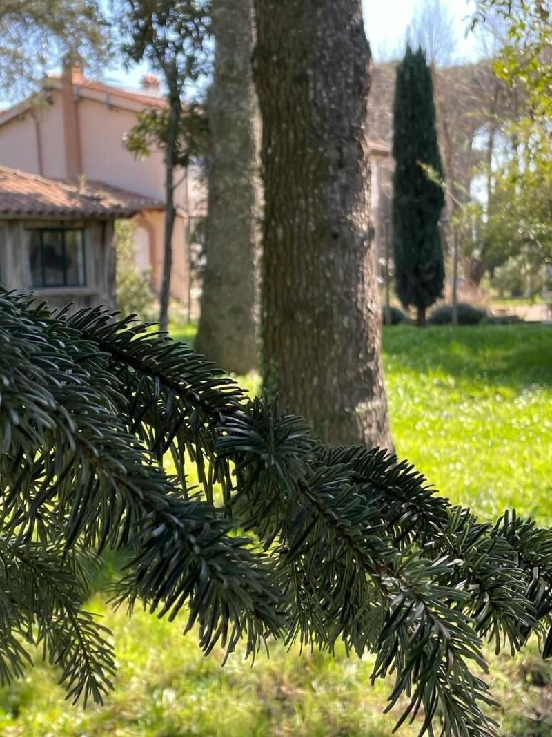 Poggio Delle Molare - Genel