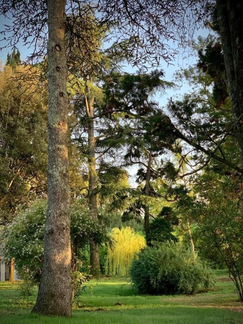 Poggio Delle Molare - Genel