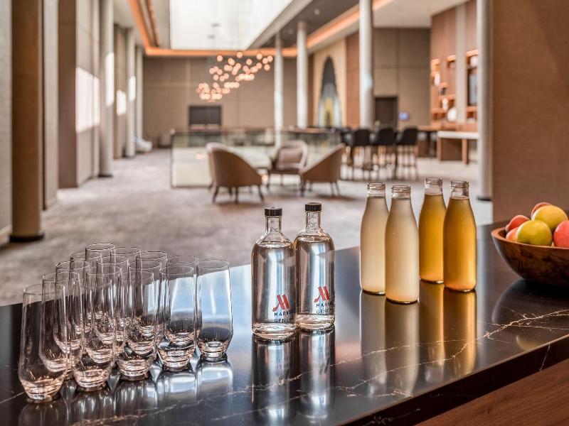 Geneva Marriott Hotel - Toplantı