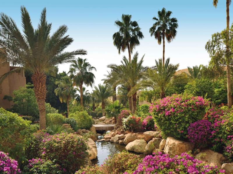 Movenpick Resort & Spa Dead Sea - Genel