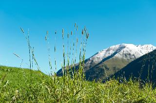 Mountain Residence Montana fotoÄŸrafÄ±