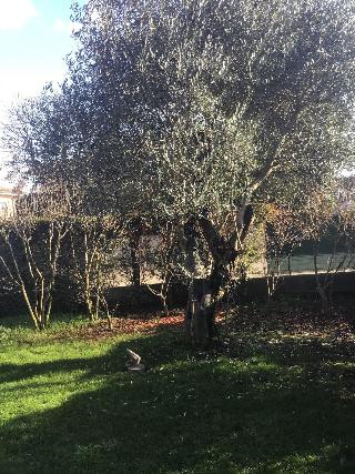 Villa Matildis fotoÄŸrafÄ±