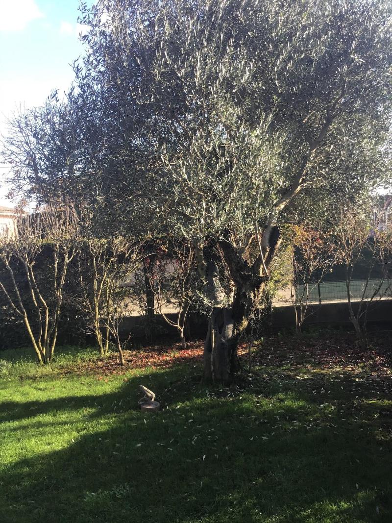 Villa Matildis - Genel