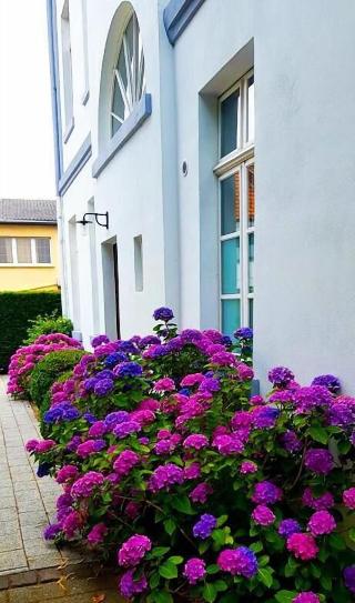 Hotel Zweilinden otel fotoğrafı